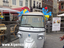 Afbeelding in Gallery-weergave laden, Tros&lt;br&gt;Modeleer ballonnen
