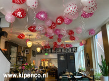 Afbeelding in Gallery-weergave laden, Heliumballon&lt;br&gt;Print
