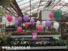 Afbeelding in Gallery-weergave laden, Heliumballon&lt;br&gt;Effen
