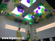 Afbeelding in Gallery-weergave laden, Heliumballon&lt;br&gt;Effen
