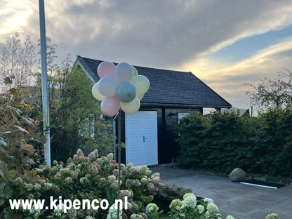 Tros Mini ballonnen 12 ballonnen op stok