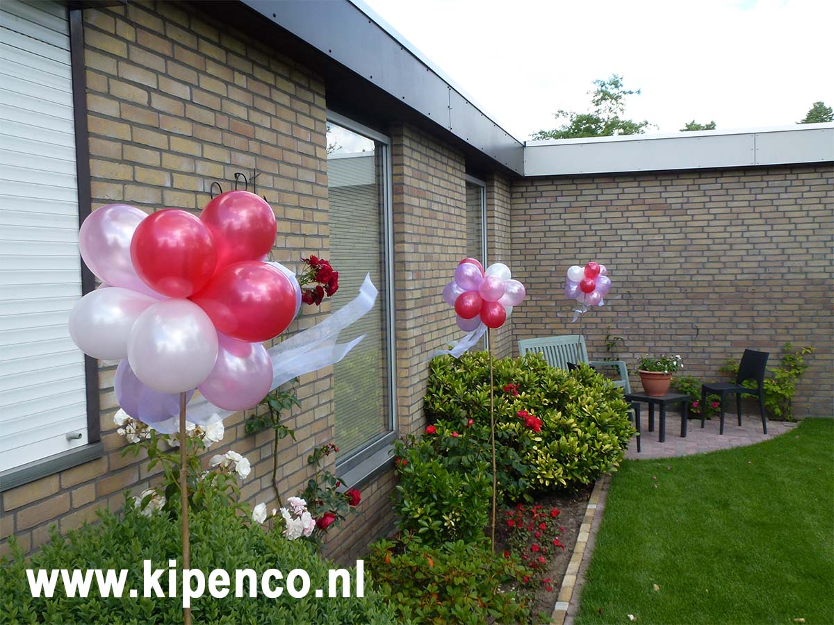 Tros Mini ballonnen 12 ballonnen op stok met lint