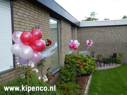Tros Mini ballonnen 12 ballonnen op stok met lint