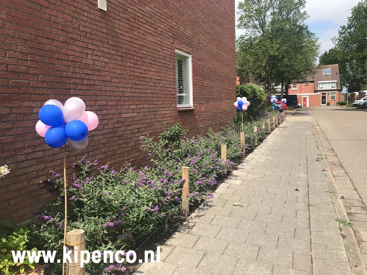 Tros Mini ballonnen 12 ballonnen op stok