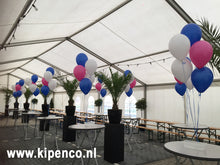 Afbeelding in Gallery-weergave laden, Tent<br>Tafeldecoratie
