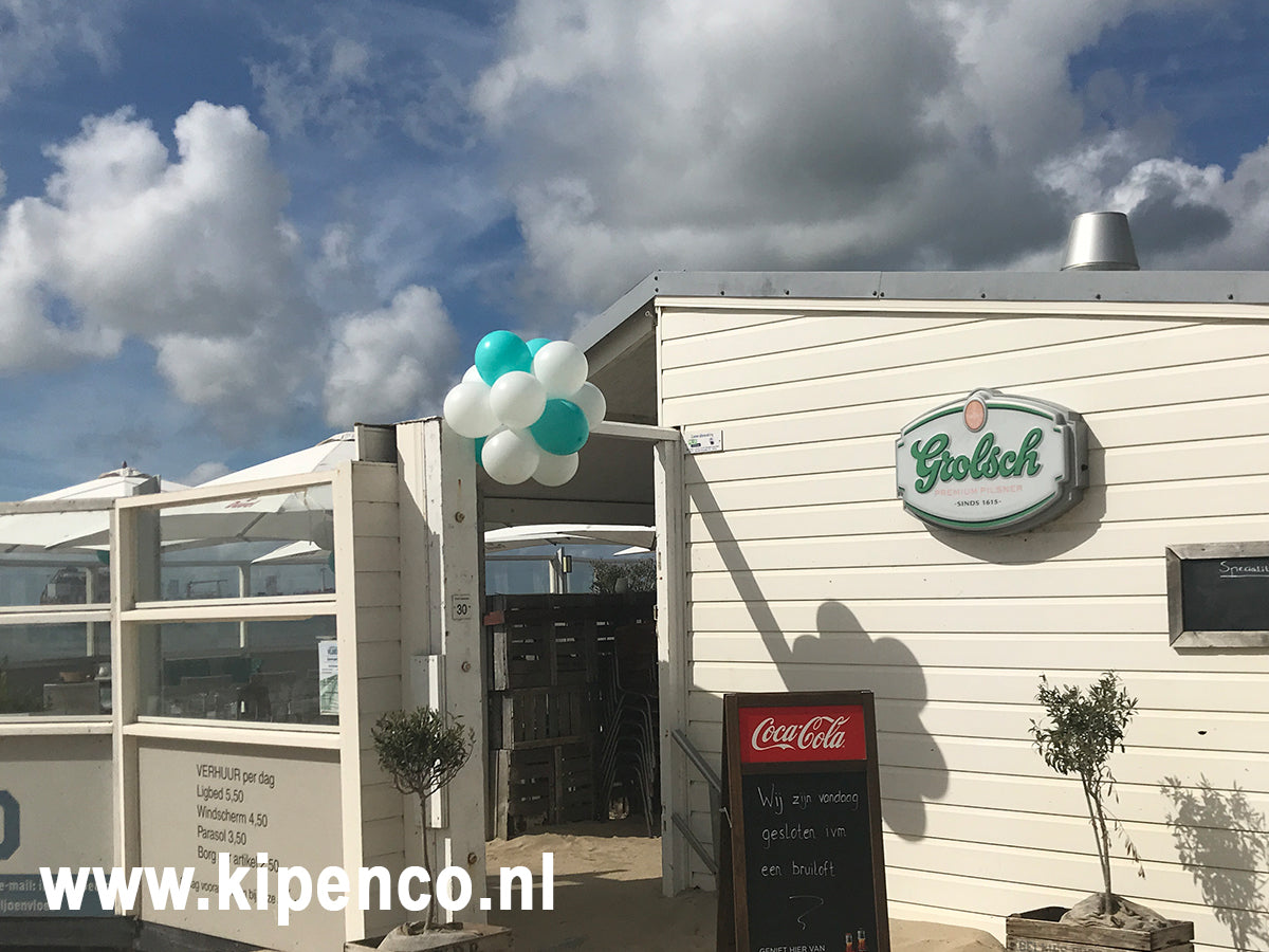 Tros Standaard ballonnen