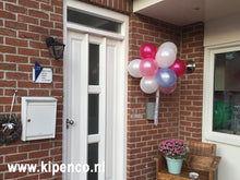 Afbeelding in Gallery-weergave laden, Tros&lt;br&gt;Standaard ballonnen
