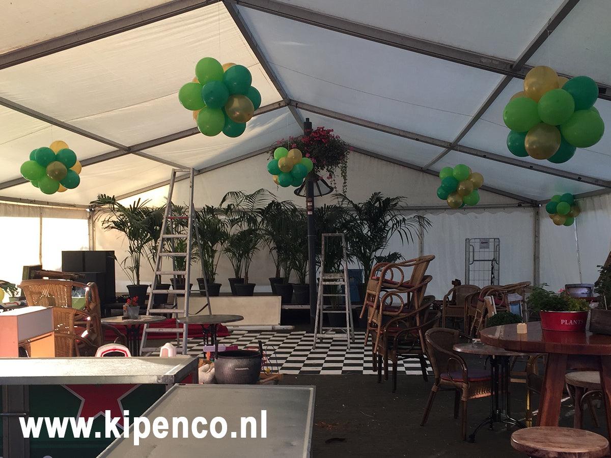 Tros Standaard ballonnen