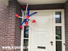 Afbeelding in Gallery-weergave laden, Tros&lt;br&gt;Modeleer ballonnen
