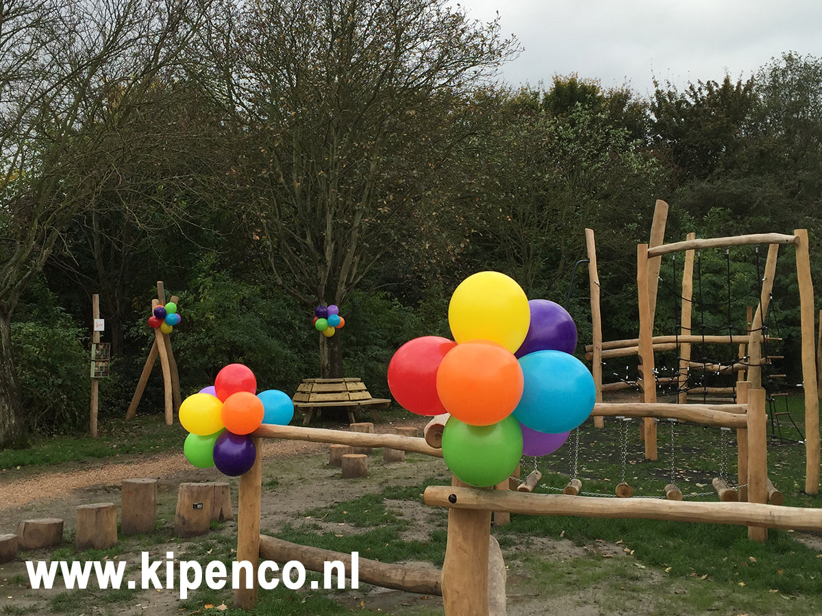 Tros Standaard ballonnen