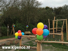 Afbeelding in Gallery-weergave laden, Tros&lt;br&gt;Standaard ballonnen
